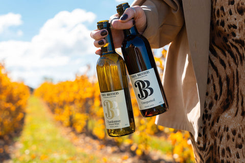 A hand holding two bottles of Three Brothers Wineries wine in a vineyard with golden yellow leaves.