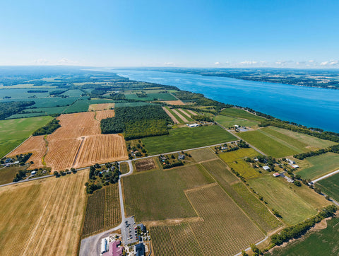 The Finger Lakes is the American Wine Region of the Year!