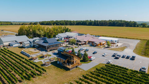 The Ultimate Finger Lakes Wine Tour: Why Three Brothers Wineries Has Something for Everyone